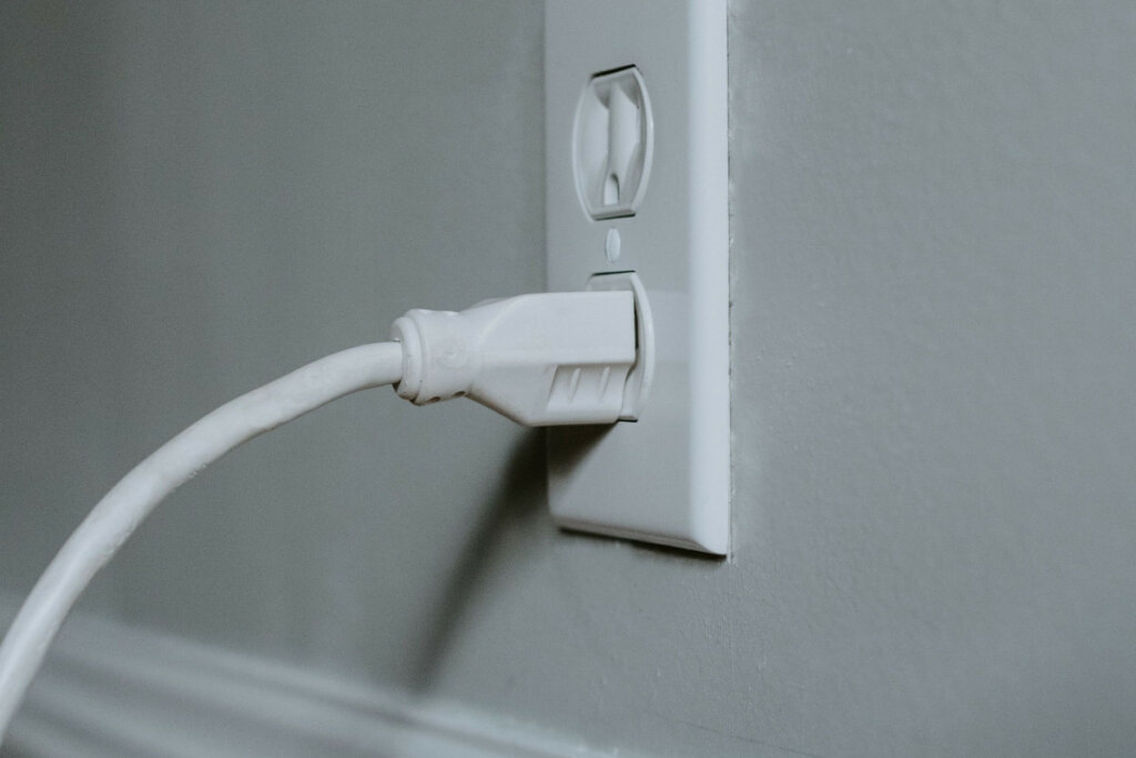 Why Does My Dog Eat Electrical Cords Dogs Training Tips