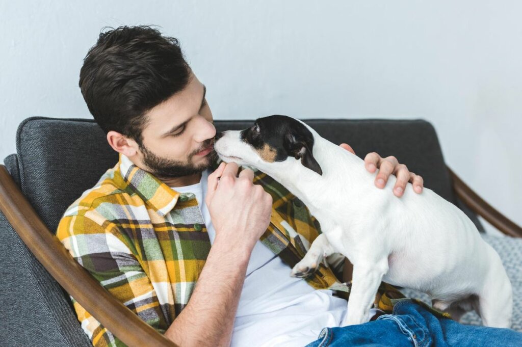 Why Does My Dog Nibble My Ear Dogs Training Tips